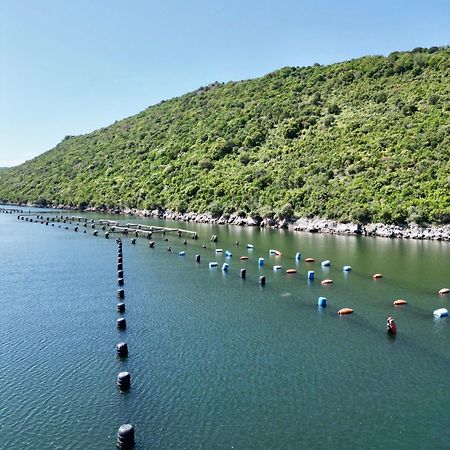 クサミル The Mussel Houseヴィラ エクステリア 写真